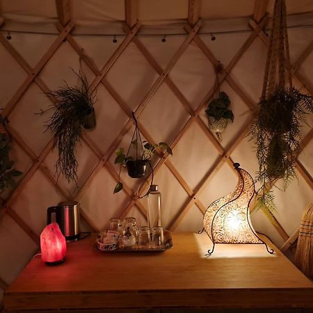 Vakantiewoning In Monumentale Boerderij Met Yurt Eckelrade Exteriör bild