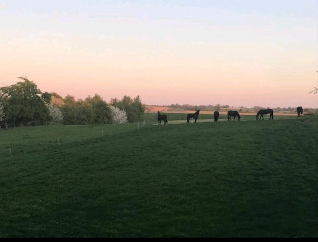 Vakantiewoning In Monumentale Boerderij Met Yurt Eckelrade Exteriör bild
